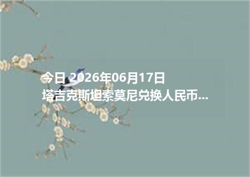 今日 2026年06月17日 塔吉克斯坦索莫尼兑换人民币最新汇率行情