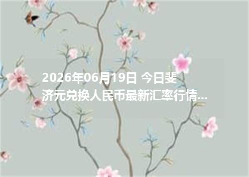 2026年06月19日 今日斐济元兑换人民币最新汇率行情金额计算
