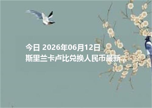 今日 2026年06月12日 斯里兰卡卢比兑换人民币最新汇率行情