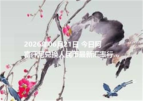 2026年06月21日 今日阿富汗尼兑换人民币最新汇率行情金额计算