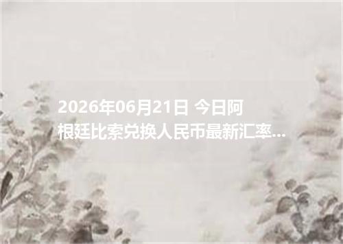 2026年06月21日 今日阿根廷比索兑换人民币最新汇率行情金额计算