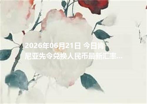 2026年06月21日 今日肯尼亚先令兑换人民币最新汇率行情金额计算