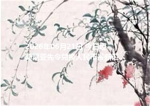 2026年06月21日 今日坦桑尼亚先令兑换人民币最新汇率行情金额计算