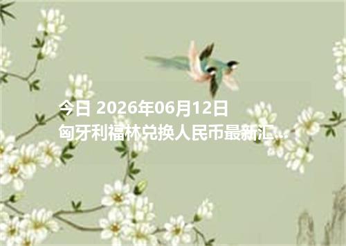 今日 2026年06月12日 匈牙利福林兑换人民币最新汇率行情