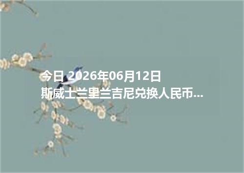 今日 2026年06月12日 斯威士兰里兰吉尼兑换人民币最新汇率行情