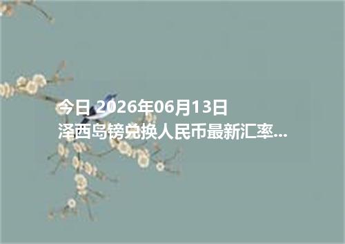 今日 2026年06月13日 泽西岛镑兑换人民币最新汇率行情