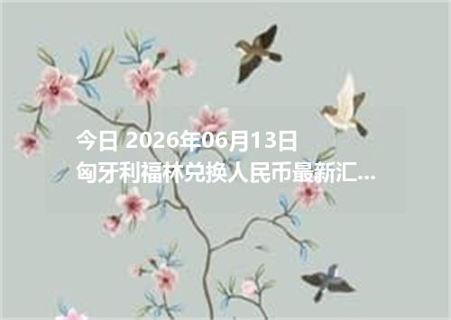 今日 2026年06月13日 匈牙利福林兑换人民币最新汇率行情