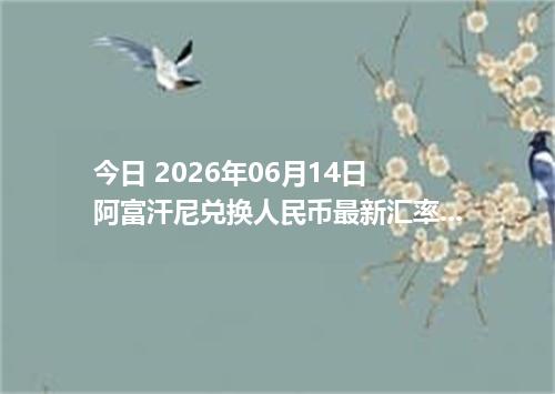 今日 2026年06月14日 阿富汗尼兑换人民币最新汇率行情