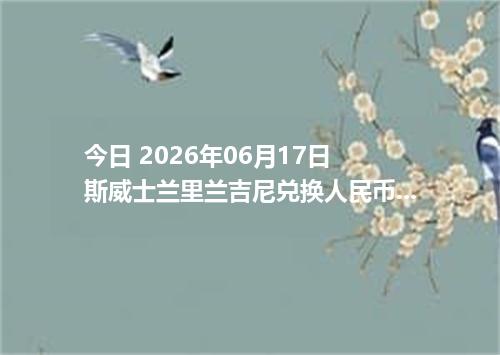今日 2026年06月17日 斯威士兰里兰吉尼兑换人民币最新汇率行情