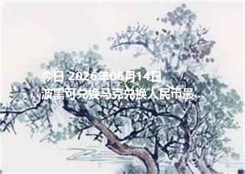 今日 2026年06月14日 波黑可兑换马克兑换人民币最新汇率行情